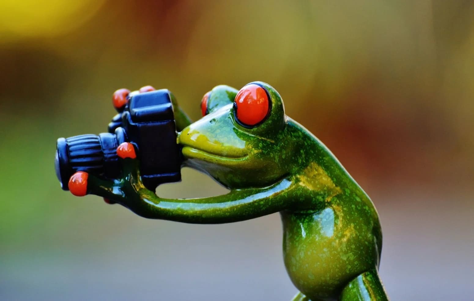 Een kikkerbeeldje dat een foto maakt met een camera, een knipoog naar de content die merken op social media plaatsen.